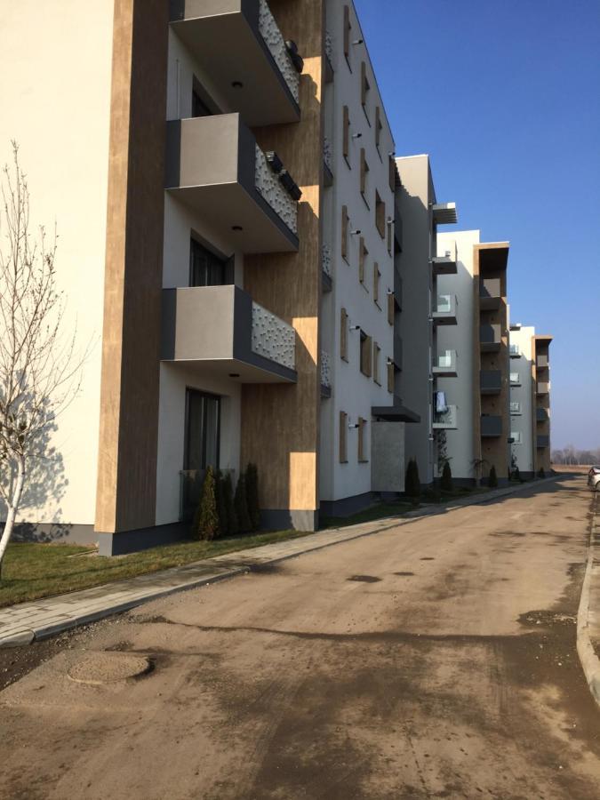 Ioan Popasu Apartment Braszów Zewnętrze zdjęcie