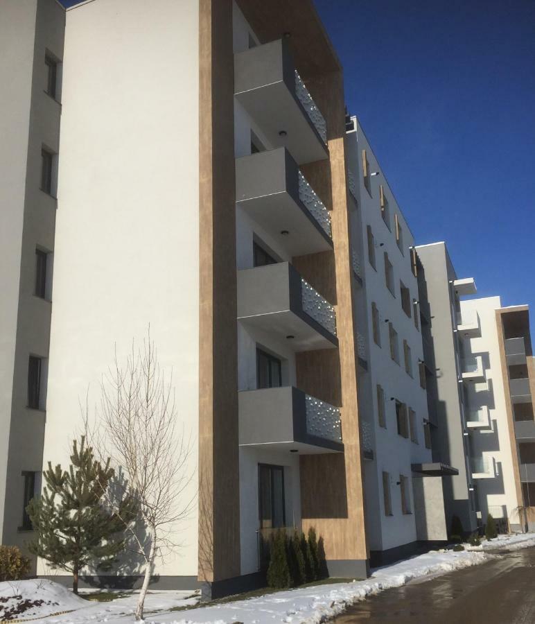 Ioan Popasu Apartment Braszów Zewnętrze zdjęcie